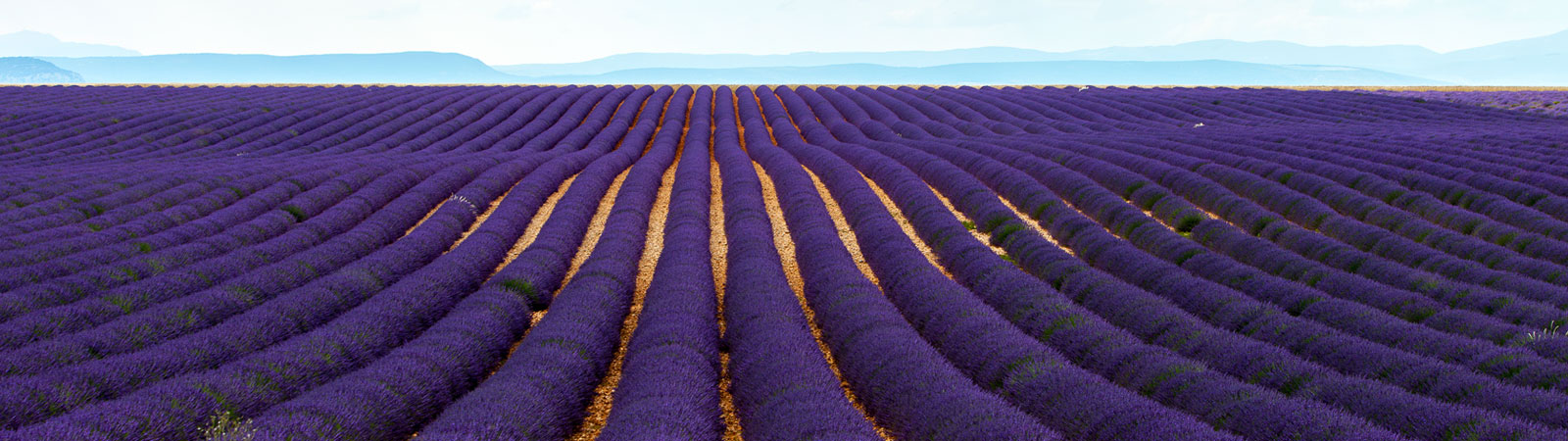 Plateau de Valensol